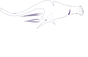 Cita VPN Logo